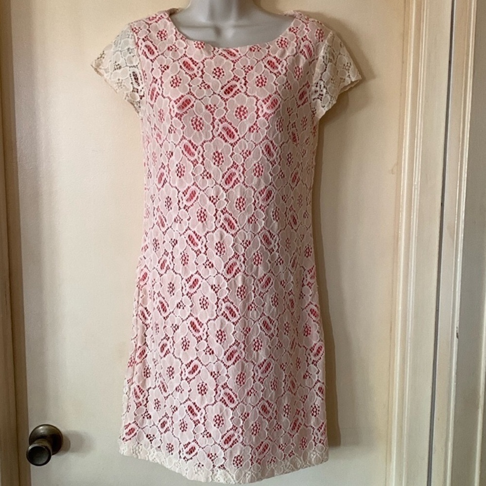 Elegant Lace Mini Dress - Cream and Pink